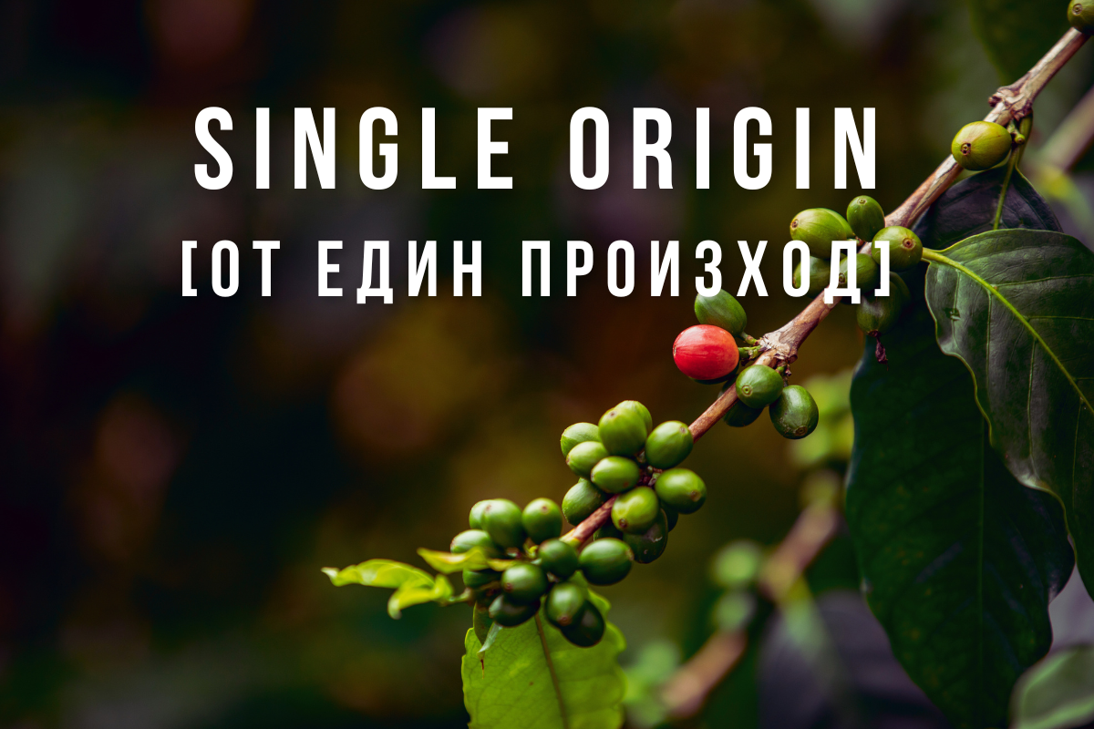 Single Origin кафе: вкусът на произхода